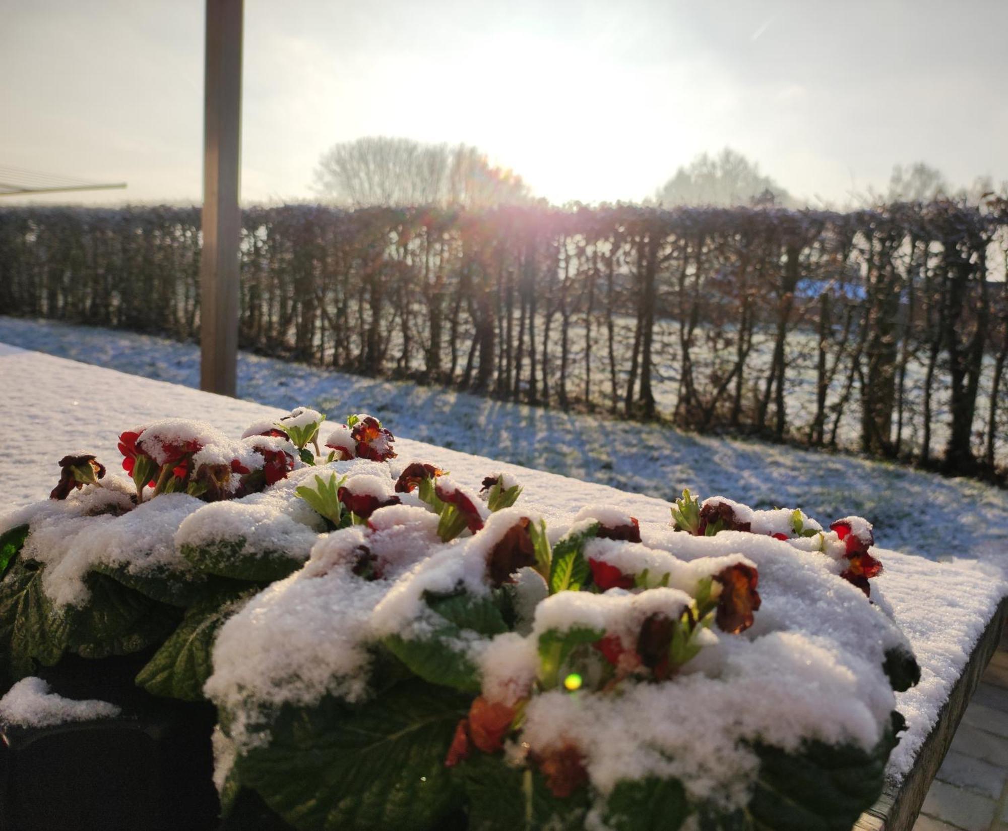 Houthem Cote Campagne Bed & Breakfast エクステリア 写真